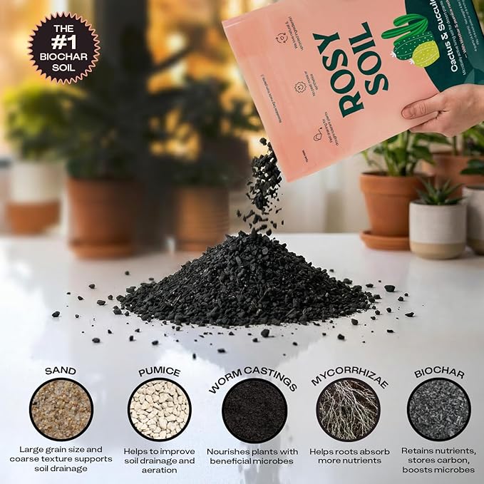 Rosy Soil Cactus and Succulent Organic Potting Soil Mix for House Plants - Fast Draining, Root Boosting, Peat-Free, Less Prone to Gnats - Drought-Tolerant -for AloeVera, Cacti, Indoor Succulents- 4qt