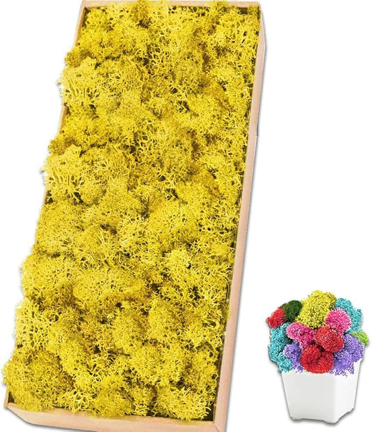 Preserved Reindeer Moss 17.6 OZ Yellow Natural for Crafts, DIY Gift Christmas Decor, Wall Art, Potted Plants, Floral Fake Moss for Easter Table Decor Wedding Decorative(1.1 LB, Yellow)