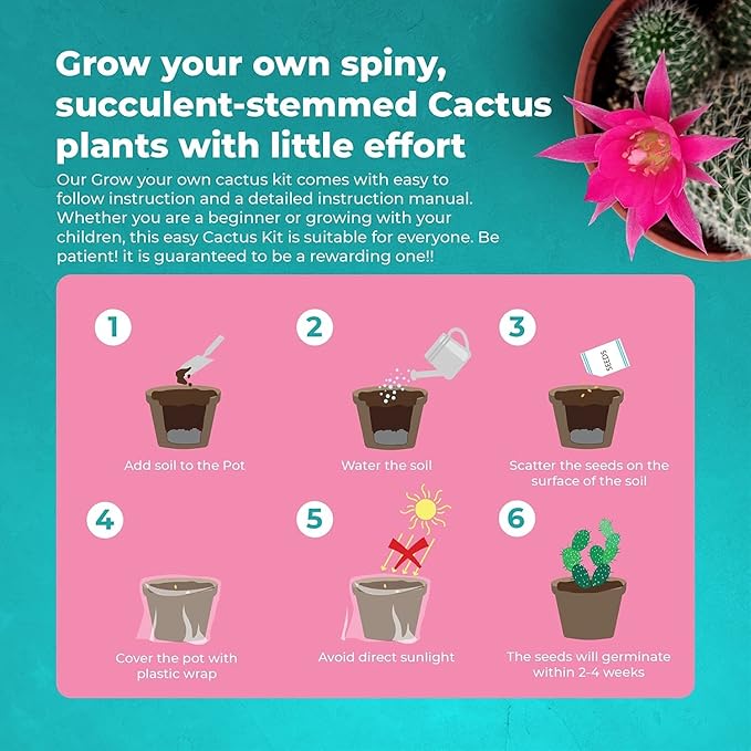Cactus Kit Grow Your Own Cactus Seeds Starter Kit | Plants, Seeds & Bulbs | Easily Grow Beautiful Varieties of Cactus Plants with Complete Beginner Indoor Cacti Kit – House Plant - Men Women Gifts