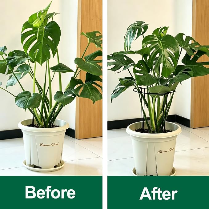 Tall Heavy-Duty 24in Plant Support Stakes - 16 Pack Peony Cages & Supports for Outdoor Plants, Half-Round Garden Stakes for Hydrangea, Roses with Extension Stakes