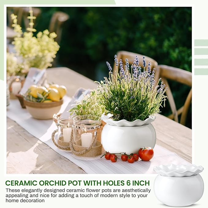 Suclain 2 Pack Ceramic African Violet Pots Self Watering Plant Pot Effortless Self Watering Plant Flower for Busy Lovers, Indoor(White,6 Inch)