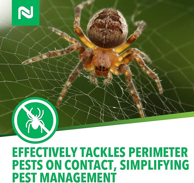 Nisus Web Out Cobweb Eliminator and Repels Spiders, Ants, Mosquitoes, Cockroaches, Aids in Web Control, Ready-to-Use Biodegradable Spray, 1 Gallon