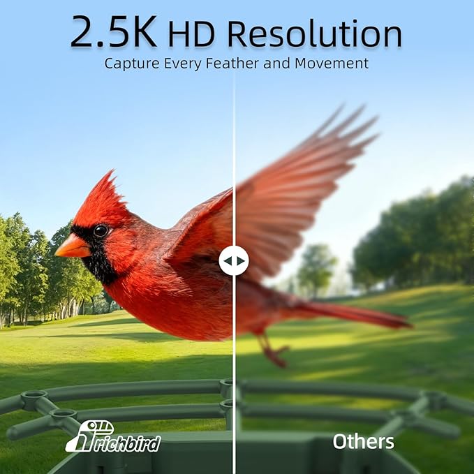 Smart Bird Feeder with 4MP HD Camera, Birdwatching Camera with Free AI Identify Birds & Solar Panel for Outdoors, Auto Video Capture & Instant Notifications, Green