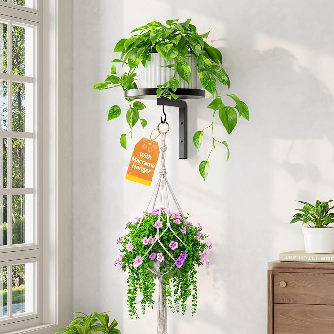 LASZOLA Plant Hanger Shelves Wall Mounted Indoor with 1Pcs Macrame Hanger, Metal Window Plant Holders, 1 Pcs Modern Floating Flower Display Stand with Hook for Outdoor Kitchen Bathroom Decor, Black