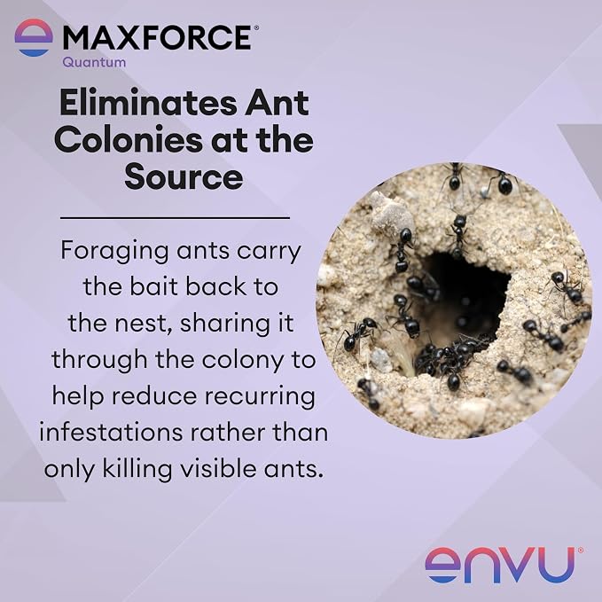 Maxforce Quantum Ant Bait 120 gram Tube | Ant Gel for Indoor and Outdoor Use | Ant Bait for Ant Colony Control | Effective Against Many Nuisance Ant Species