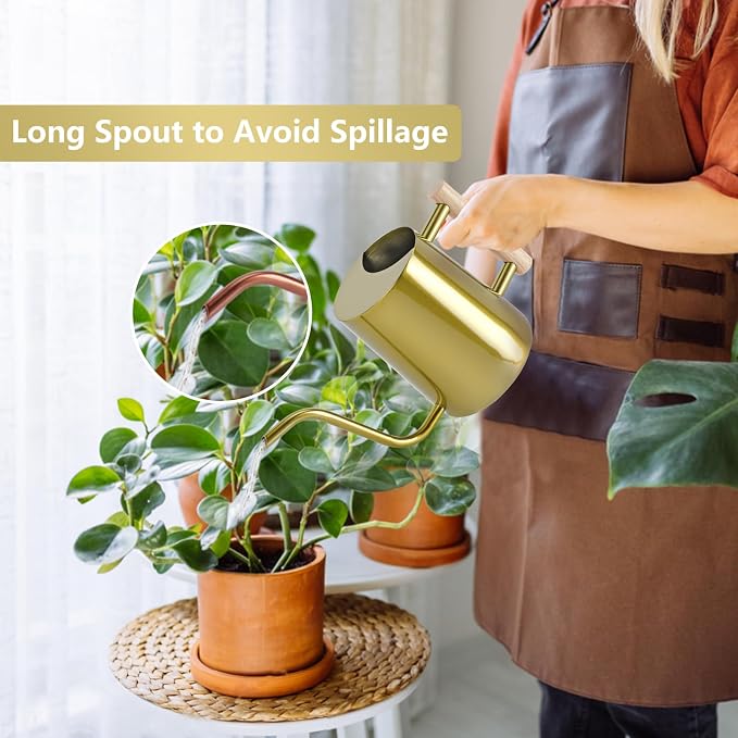 Watering Can Indoor Plants, 35oz Small Stainless Steel Metal Watering Can Modern Decorative Watering Pot with Long Spout for Indoor House Plant Bonsai Garden Flowers (Gold)