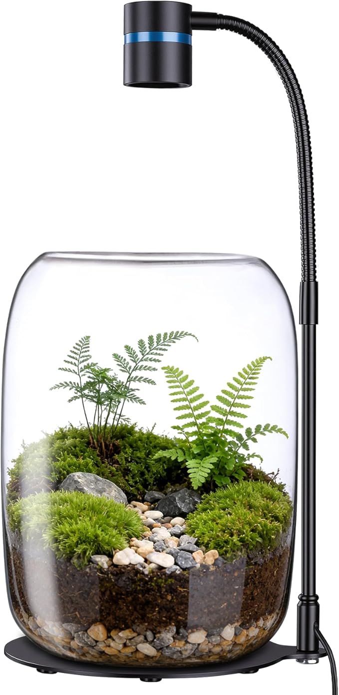 Glass Plant Terrarium with LED Grow Light, Grow Light for Terrarium, Small Desktop Indoor Planter for Venus Fly Trap, Moss & Succulents, Borosilicate Decor Jar for Plant Lovers