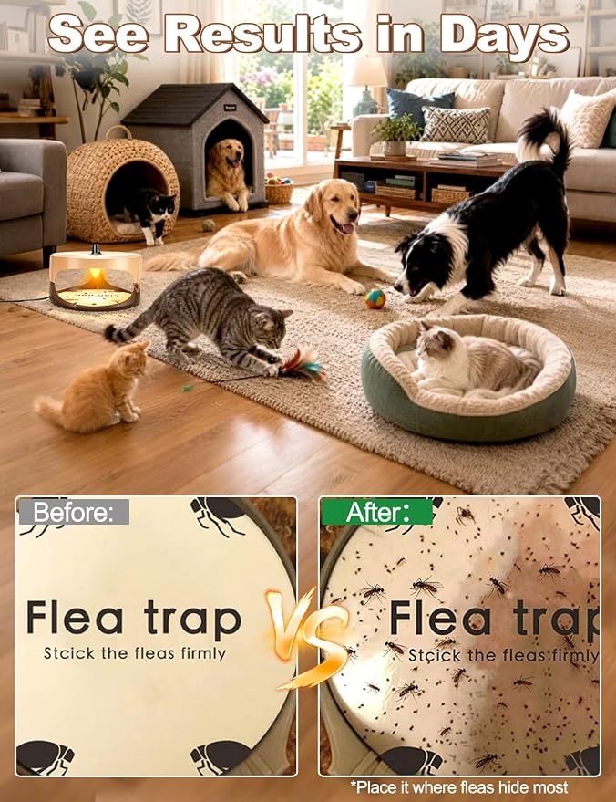 Flea Traps for Inside Your Home,New Bed Bug Trap with Light Refills and Sticky Pads,Electronic Fly Gnat Traps Indoor,Sticky Flea Bombs for Home Indoor (Beige, 1 Pack)