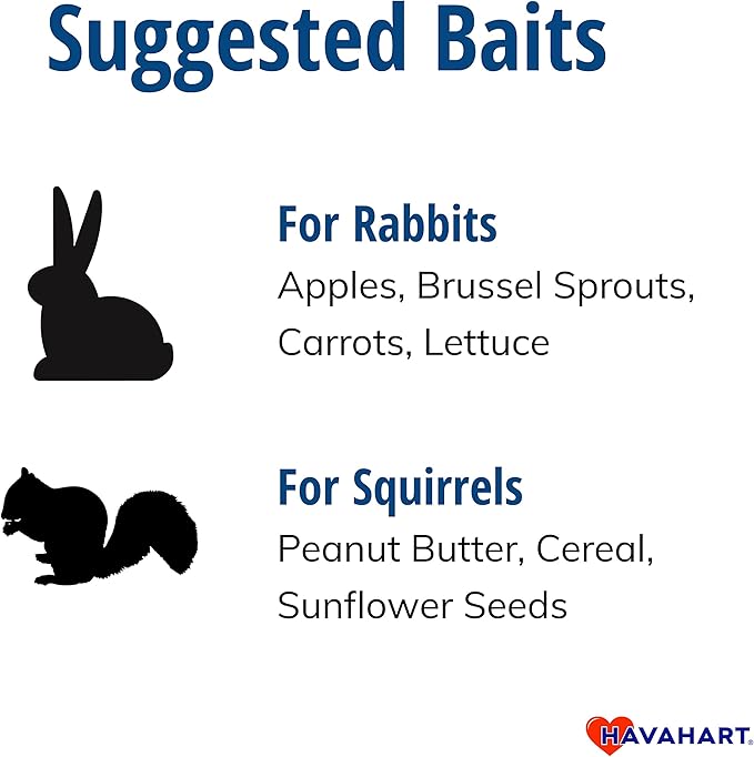 Havahart Easy-Set Catch and Release Small 1-Door Humane Live Animal Trap for Squirrels, Rabbits, Skunks, and Other Small Animals - 1083
