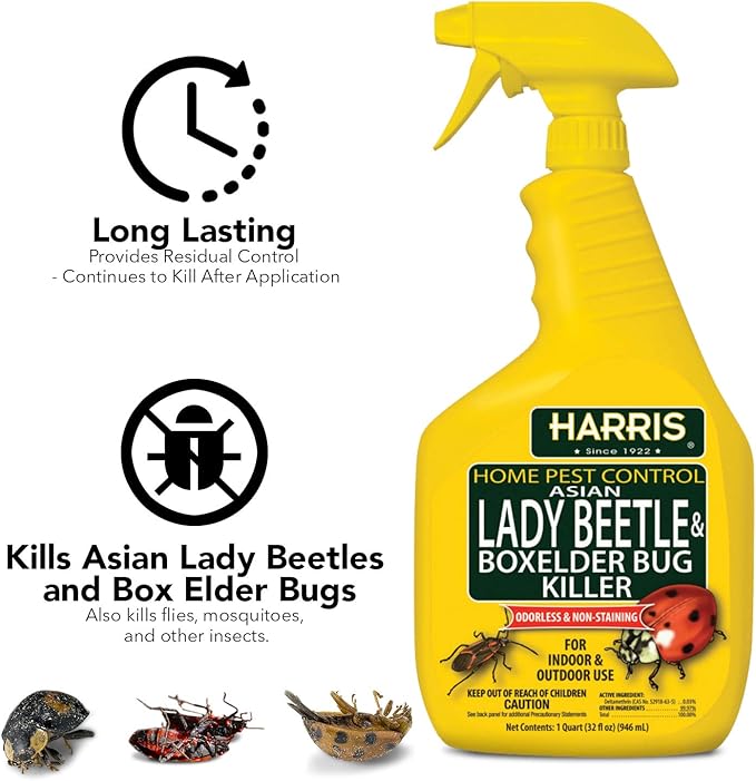 Harris Asian Lady Beetle and Box Elder Killer, Liquid Spray with Odorless and Non-Staining Extended Residual Kill Formula (32oz)