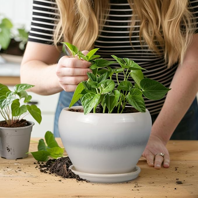 Ceramicfor Planter Pot 6 Inch - Ceramic Plant Pot with Drainage Hole and Saucer, Round Glaze Succulent Pot for Plants, White
