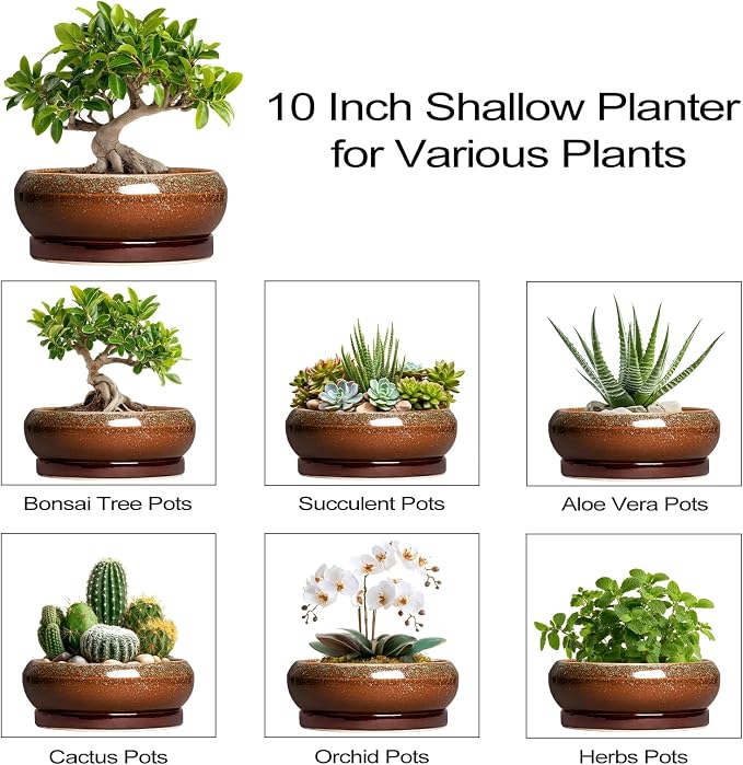 Bonsai Pots - 10 Inch Ceramic Succulent Pots with Drainage Hole and Saucer, Bonsai Planter for Indoor Outdoor, Large Shallow Planter Bowl, Office Decor, Gifts for Plant Lovers, Retro Brown