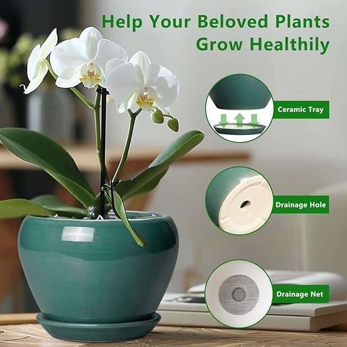 Ceramicfor Ceramic Planter for Indoor Plants 10 Inch - Ceramic Plant Pot with Drainage Hole and Saucer, Glaze Round Modern Decorative Planter, Plant Lover Gifts, Home Room Office Decor, Green