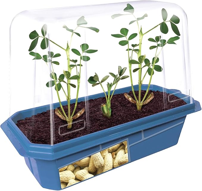 Unique Gardener Peanut Plant Garden Kit, Grow Delicious Healthy High Protein Peanuts, Planting Indoor Seeds and Outdoor Gardening Plants, Includes Everything Needed Just Add Water
