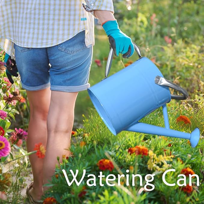 Metal Watering Can 1 Gallon with Removable Spout, Ideal Plant Watering Can for Indoor and Outdoor Plants (Blue 1 Gallon)