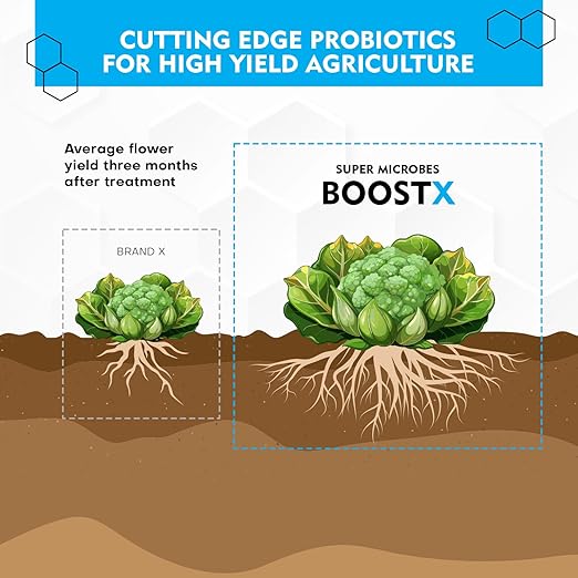 BoostX Bloom Booster & Grow Fertilizer | 16-Strain Mycorrhizae, Trichoderma & Beneficial Bacteria | Maximizes Bud, Flower & Harvest Yields | Soil & Hydroponic Nutrient Supplement | 150g