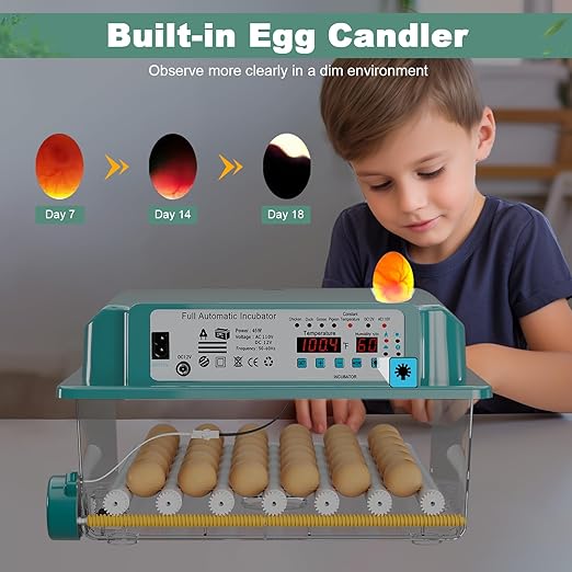 CoInceptus 36 Eggs Incubators for Hatching Eggs,Egg Incubator with 4 Automatic Incubate Mode,Chicken Incubator with Automatic Egg Turning Humidity Monitoring,Poultry Egg Incubator with Egg Candle