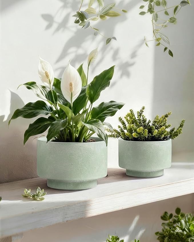 Succulent Pots, 8 Inch + 6 Inch Plant Pots for Plants with Drainage Hole, Indoor Outdoor Ceramic Planter, Set of 2 Round Flower Pots for Succulent and Plants, Green
