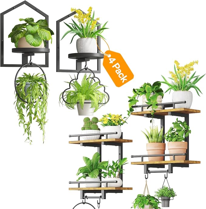 iDavosic.ly Wall Plant Display Set of 4, Floating Picture Frame Holder, 2-Tier Shelves with 4 Hooks, Metal Stand for Indoor Haning Home Decor Outdoor Space Saving (Pots/Chains/Plants Not Included)