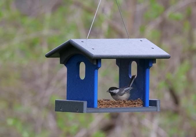 Bluebird Feeder - Poly Lumber - Hanging Blue Bird Feeder for Mealworms (Gray and Blue)
