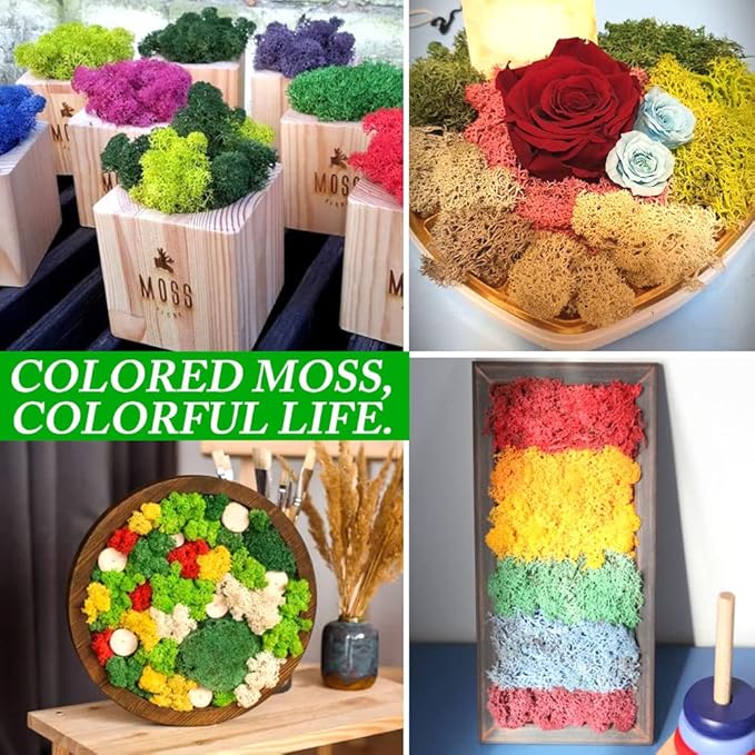 Preserved Reindeer Moss 17.6 OZ Red Natural for Crafts, DIY Gift Christmas Decor, Wall Art, Potted Plants, Floral Fake Moss for Easter Table Decor Wedding Decorative(1.1 LB, Red)