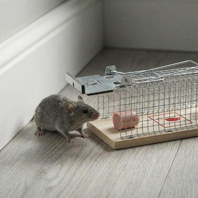 6 Pack Small Humane Mouse Trap, 6 x 2.4 x 2.8 Inch, No Kill, Catch and Release, Reusable Live Mouse Trap, Indoor Outdoor Rat Cage for Small Live Rodent Chipmunk Squirrel Mole Safe Control