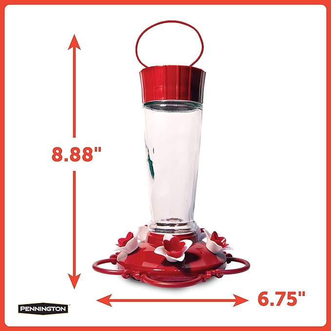 Pennington Pride Glass Hummingbird Feeder 10 Ounces
