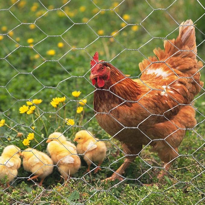 MTB SUPPLY Galvanized Hexagonal Poultry Netting Chicken Wire, 48" x 50' x 2" Mesh, 20GA