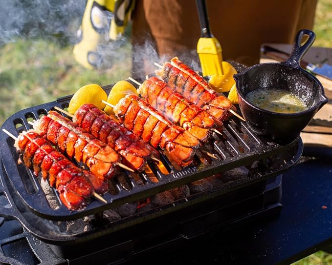 Lodge Sportsman’s Pro Cast Iron Grill - Portable Charcoal Grill with Removable Grate & Dual Air Vents - Heavy-Duty Outdoor Cooking - 9 Inches x 16.75 Inches