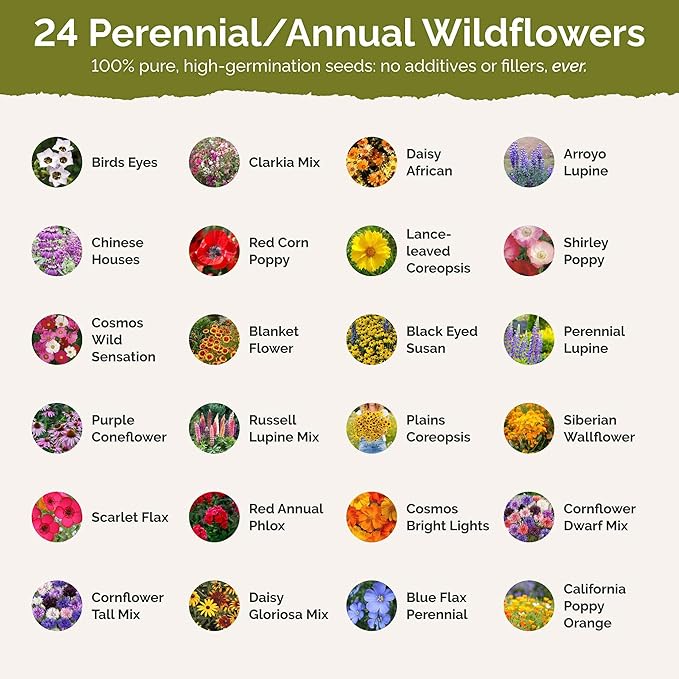Eden Brothers Colorado Wildflower Mixed Seeds for Planting, 1 lb, 480,000+ Seeds with Cornflower, Lupine | Attracts Pollinators, Plant in Spring or Fall, Zones