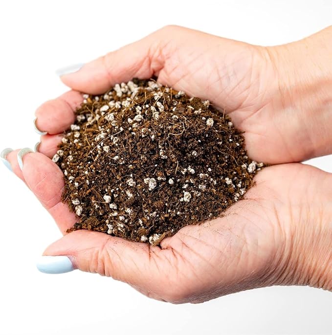 GARDENERA Organic Potting Soil for Tomato Plants - 4 Quart - Hand-Mixed with Natural Ingredients for Optimal Growth and Nutrient Retention