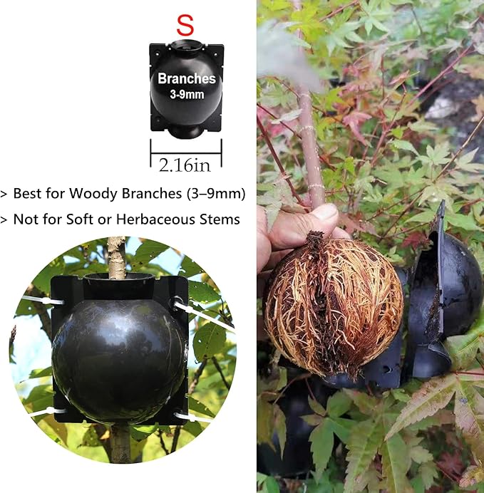 Tree Root Growing Box – Air Layering Propagation Pods for Woody Plants, Reusable Transparent Rooting Device for Magnolia, Fig, Citrus & Roses (10pcs Small, 3–9mm Branches)