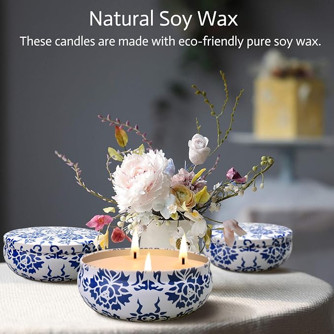 Hausware Citronella Candles Outdoor & Indoor - Large 13.5 oz Scented Candles Set 3 Pack Natural Soy Wax citronella Candles for Garden Patio Yard Home Balcony Camping Backyard (Light Blue)
