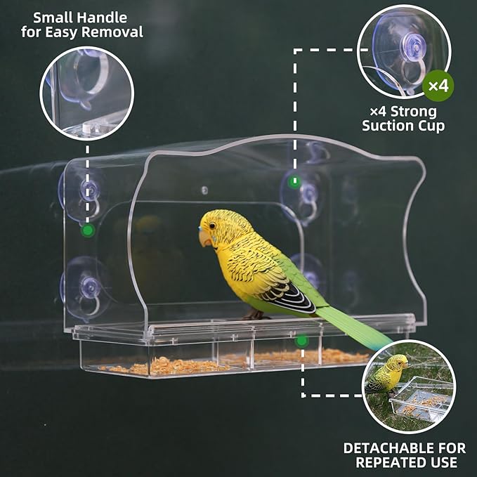 Window Bird Feeder with Strong Suction Cups - Clear Acrylic Bird Feeders for Outdoor Use, Easy-to-Clean Viewing Box for Cats and Birdwatching, Large Capacity, Curved Design for All-Weather Durability