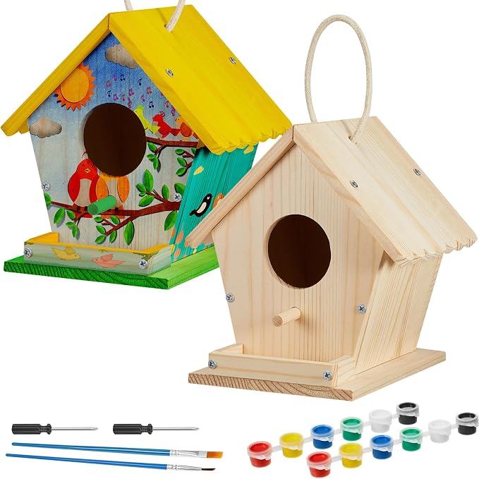 Juexica 2 Pack DIY Birdhouse Kits for Kids Ages 6+ Build and Paint Wooden Bird House Arts and Craft Project with Paint Strips Brushes for Boy Girl Adult Classroom Indoor Outdoor Crafts (Rotundity)