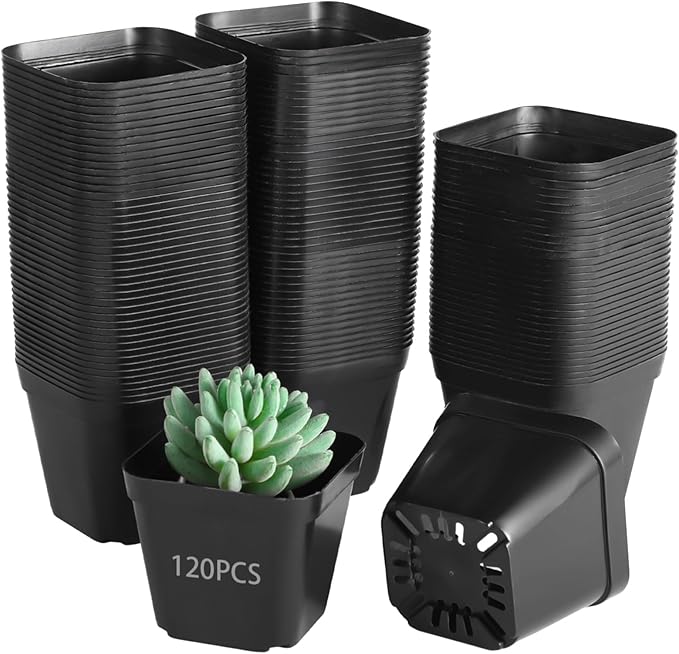OMISTAR 120 Pcs Small Square Plastic Nursery Pots - 4 Inch Seedling Plant Pots with Drainage Holes, Reusable Grow Containers for Succulent Propagation, Flowers, Bulk Seed Starting Kits