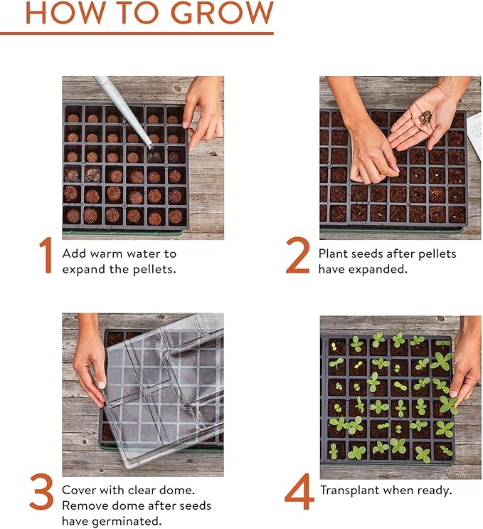 Burpee Greenhouse Indoor Starting Herbs, Flowers and Vegetables & SuperSeed Seed Starting Tray | 16 XL Cell | Reusable & Dishwasher Safe