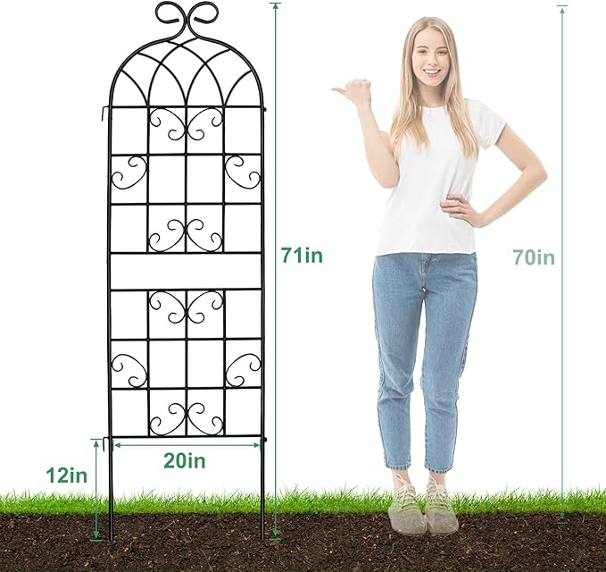 Lorenzo 2 Pcs 70 x 19.7 Inch Metal Garden Trellis for Climbing Plants Outdoor, Black Coated Frame, Plant Support for Outdoor Roses Vines Cucumber Vegetables