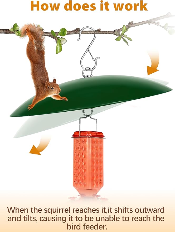 13" Bird Feeder Rain Cover,Bird Feeder Dome,Hummingbird Feeder Squirrel Guard, Proof Bird Feeders Baffle,Smart Birds Feeder's Umbrella(Green), 1 Pack