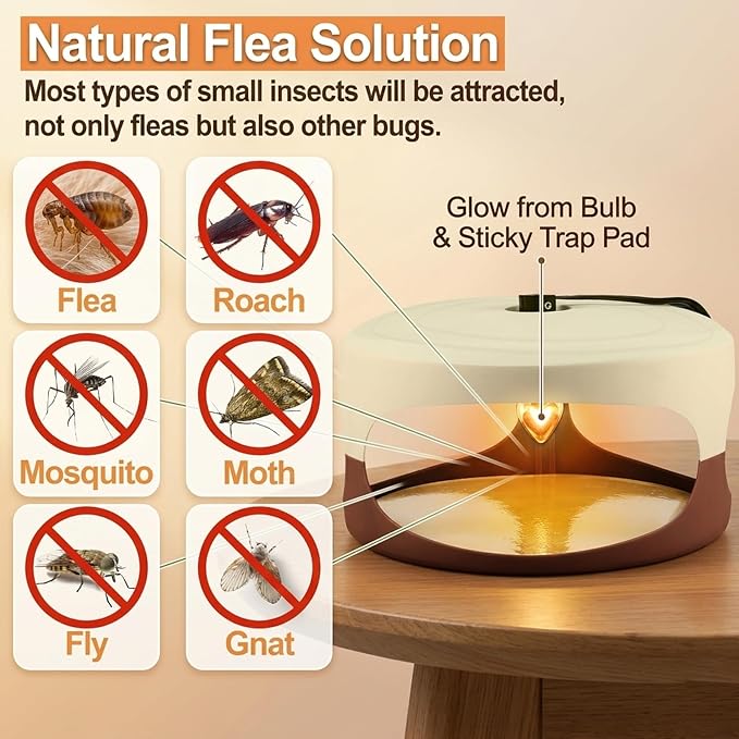 4 Packs Flea Trap-Flea Traps for Inside Your Home, Effective Flea Trap with Light for Indoor, Friendly Traps for Garage with 12 Sticky Disc 12 Bulbs 4 Electric Wires, Safe to Pets
