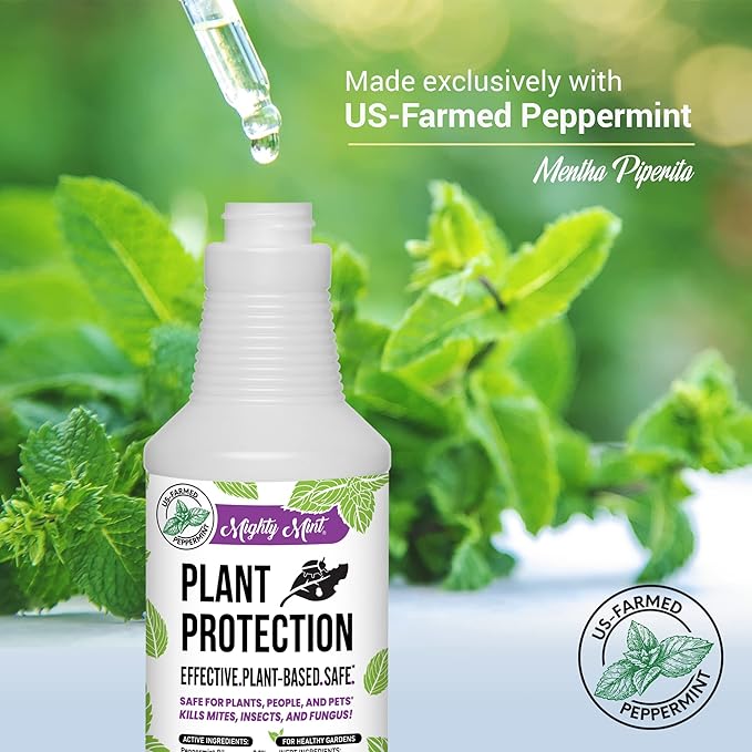 Mighty Mint Peppermint Oil Plant Protection Spray – Insect & Pest Control for Gnats, Spider Mites & Aphids – Plant-Based, Easy-to-Use with Microfiber Cloth- 32 oz
