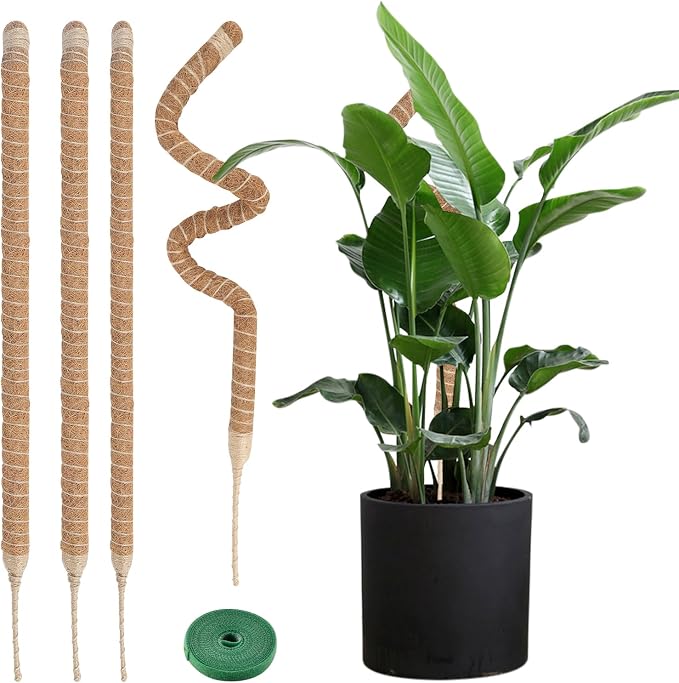 3 Pack Moss Pole,30 Inch Bendable Moss Pole for Plants Monstera, Moss Poles for Climbing Plants Indoor, Coir Plant Pole Sticks Support Stakes for Potted Plant, Pothos, Philodendron