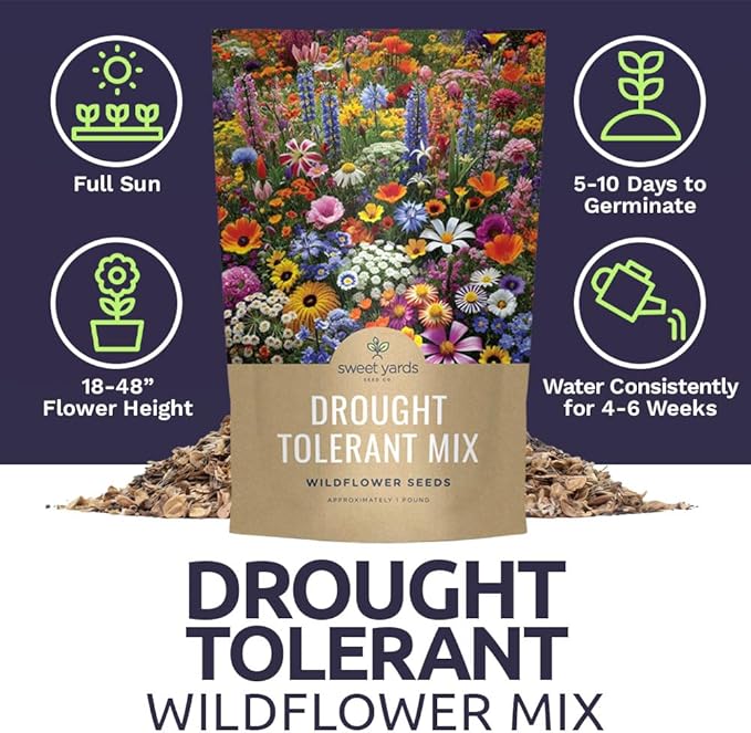 Drought Tolerant Wildflowers Mix – Bulk 1 Pound Bag – Over 120,000 Open Pollinated Non-GMO Seeds – 21 Different Dryland Species