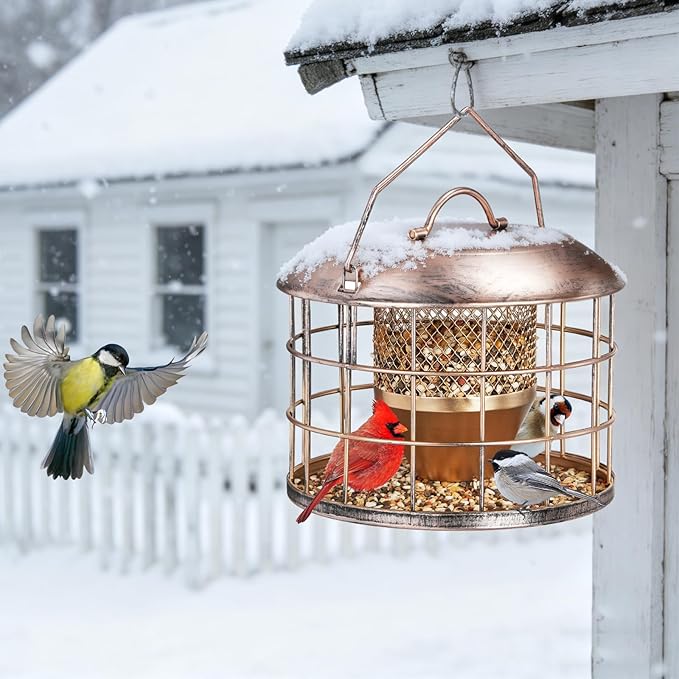 Metal Caged Bird Feeder, Squirrel Proof Bird Feeders for Outdoors Hanging, Wild Birds Feeder for Small Sparrows Finchs, Squirrel Chew-Proof Birdfeeder for Outside Backyard Birding Watching Gifts