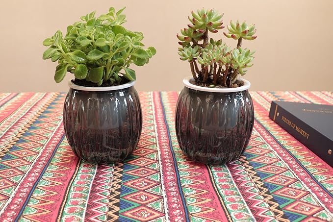 Cornasee 4" Pumpkin Planter Self Watering Pot, 4-Pack Small Plastic Planters for Indoor Plants,Flowers,Succulent,African Violets (Black, 4")