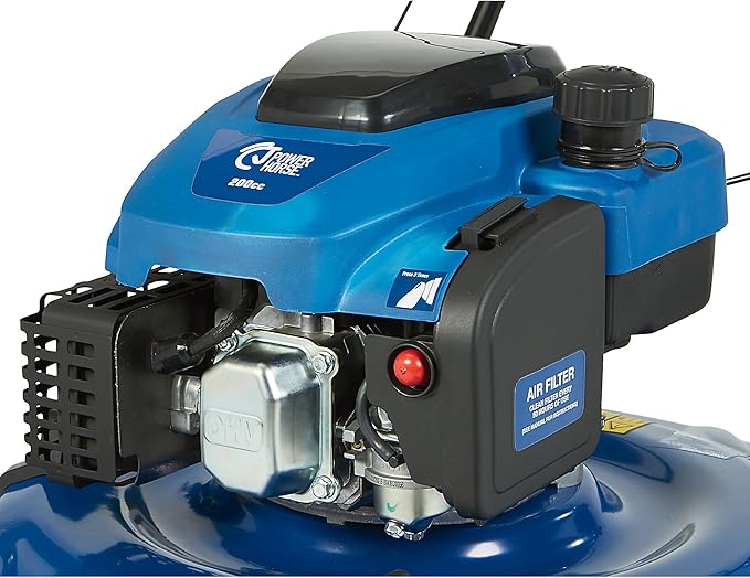 Powerhorse 21in. 2-in-1 Gas Lawn Mower, 200cc Engine