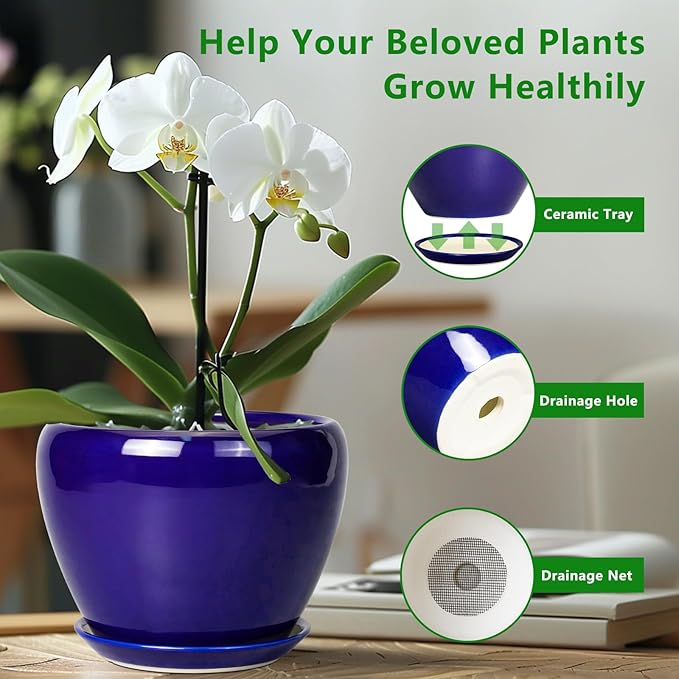 Ceramicfor Ceramic Plant Pot 8 Inch - Planter for Outdoor Plants Indoor Plant Pot with Drainage Hole and Saucer Decorative Round Planter Modern Flower Pot for House Decor Blue
