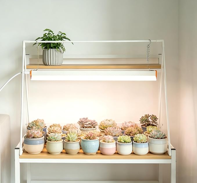 10W Grow Light Stand Kit for Indoor Plants, 2ft Plant Grow Rack with Full Spectrum, Enhanced Red Light for Flowering, Height Adjustable Iron Bracket, on and Off Switch