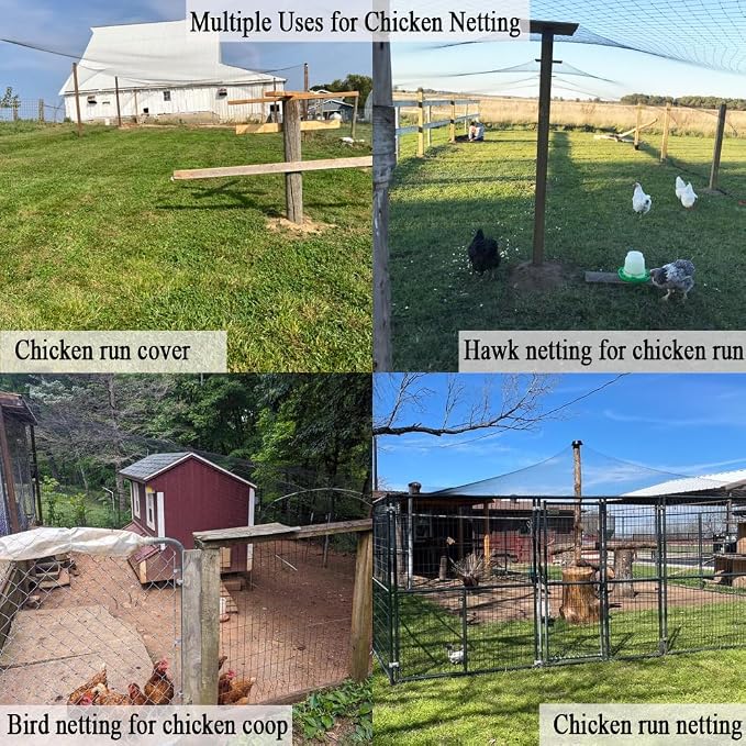 Bird Netting for Chicken Coop 50x100 FT, 1 in Mesh Chicken Run Netting Roof Cover Against Hawks, Eagles, Owls, Strong Woven Bird Netting for Garden, Fruit Tree, Plant, Vegetable Protection