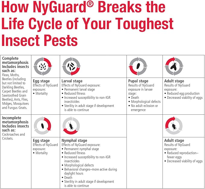 MGK NyGuard® IGR Concentrate | Cockroach, Flea, Ant, Fly and Mosquito Concentrate | Insect Growth Regulator | for Indoor/Outdoor Applications | 140 ML